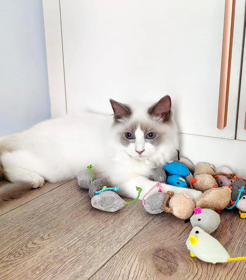 Caça Encantada | Ratinhos de Pelúcia com Catnip Natural